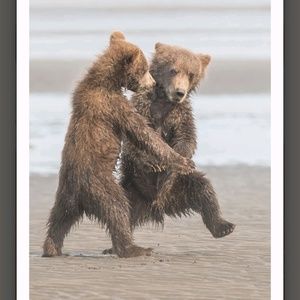 Meet your Posher, Britney